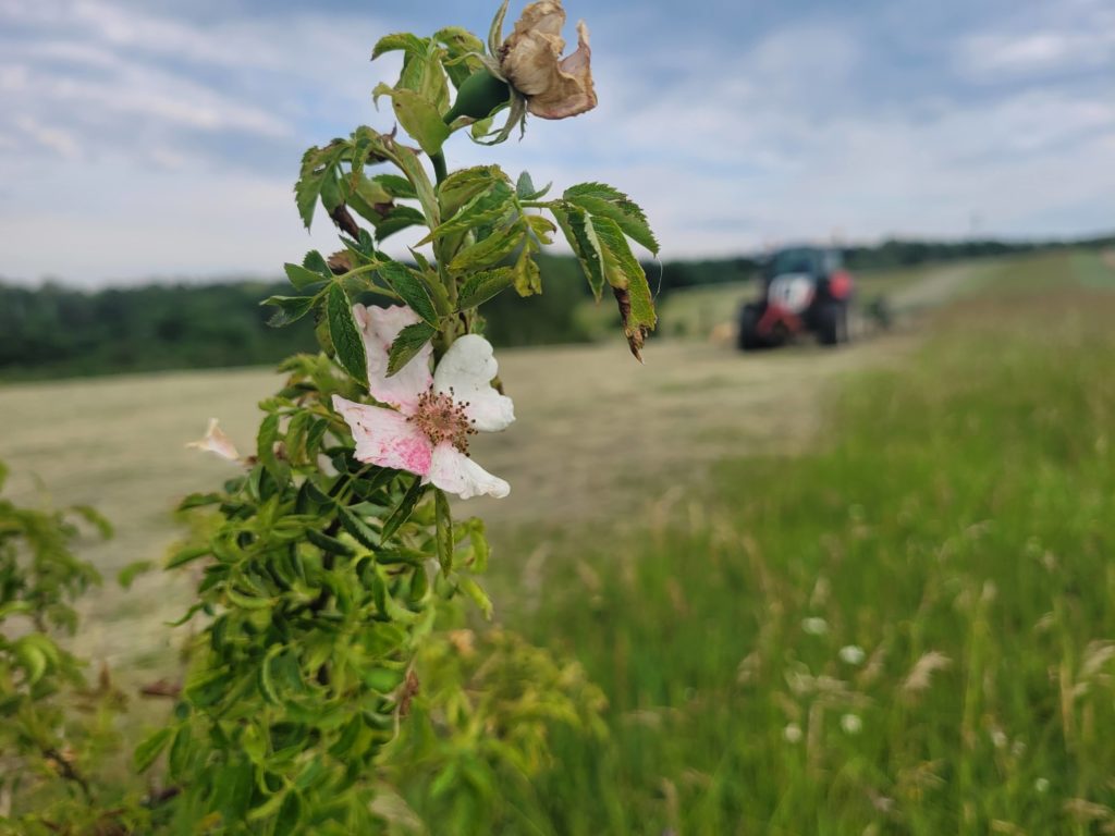 Naturschutz